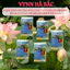 Phân bón chuyên dùng cho cây cảnh ngập nước HP-111 (11-11-11 + TE) (24 viên) Hải Phong, cho cây sen súng, bèo lục bình