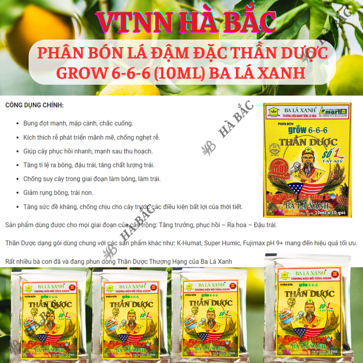 Phân bón lá đậm đặc Thần Dược số 1 Grow 6-6-6 (10ml) Ba Lá Xanh, Tăng trưởng mạnh mẽ, bông nhiều, hạt sáng