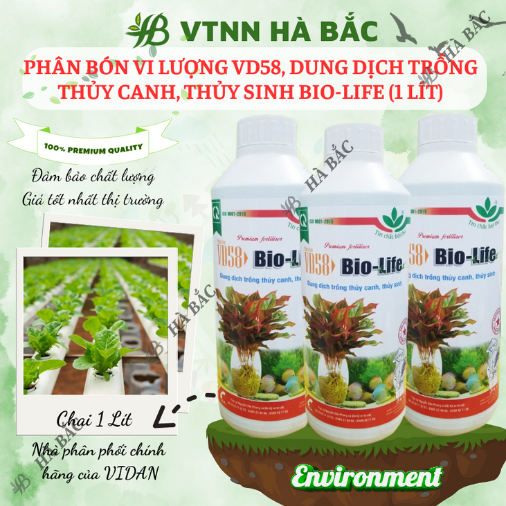 Phân Bón Vi Lượng VD58, Dung Dịch Trồng Thủy Canh, Thủy Sinh Bio-Life (1 Lít), thủy canh tĩnh, thủy canh tuần hoàn