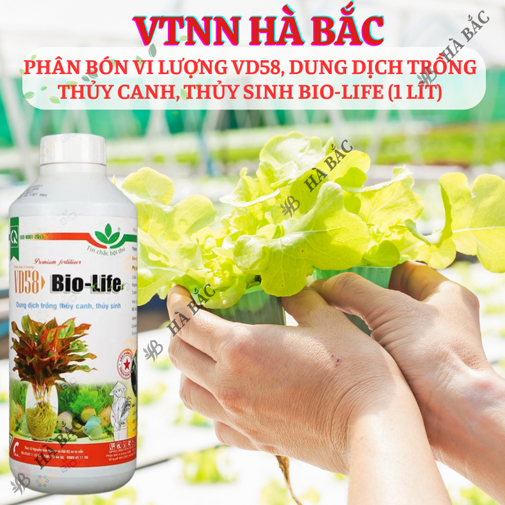Phân Bón Vi Lượng VD58, Dung Dịch Trồng Thủy Canh, Thủy Sinh Bio-Life (1 Lít), thủy canh tĩnh, thủy canh tuần hoàn