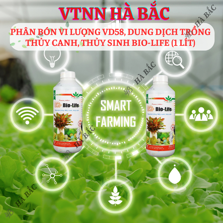Phân Bón Vi Lượng VD58, Dung Dịch Trồng Thủy Canh, Thủy Sinh Bio-Life (1 Lít), thủy canh tĩnh, thủy canh tuần hoàn