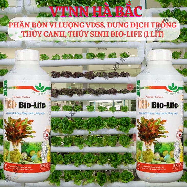 Phân Bón Vi Lượng VD58, Dung Dịch Trồng Thủy Canh, Thủy Sinh Bio-Life (1 Lít), thủy canh tĩnh, thủy canh tuần hoàn