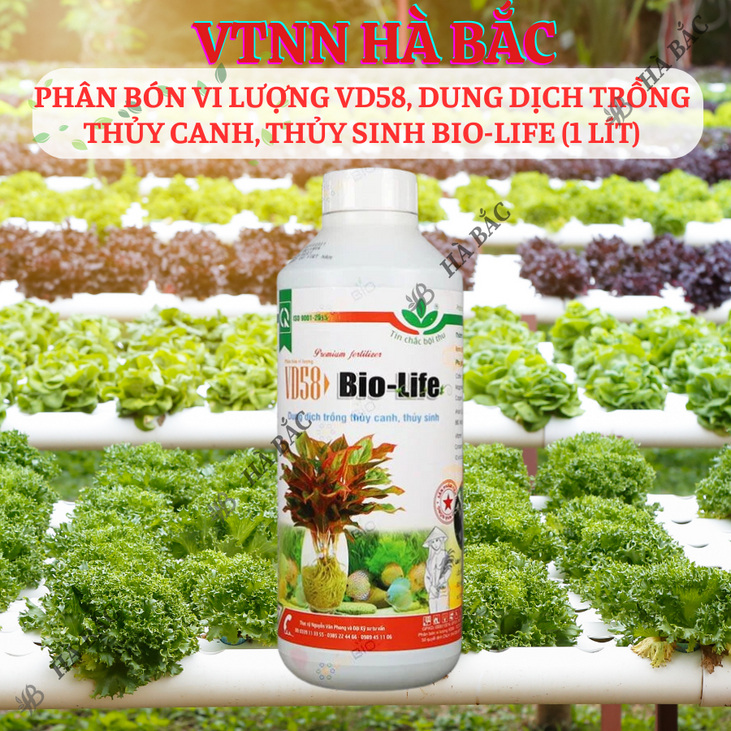 Phân Bón Vi Lượng VD58, Dung Dịch Trồng Thủy Canh, Thủy Sinh Bio-Life (1 Lít), thủy canh tĩnh, thủy canh tuần hoàn