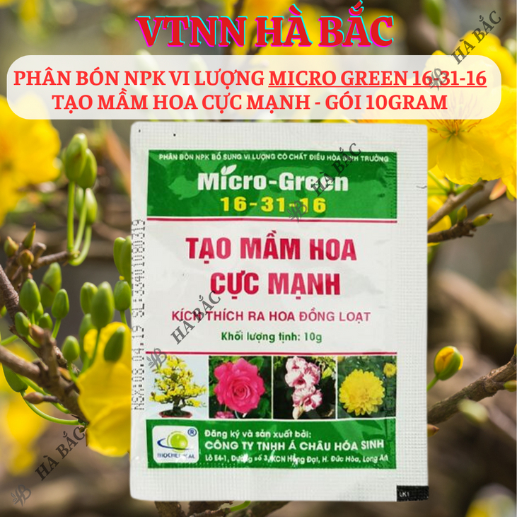 Phân Bón Lá NPK Micro-Green 16-31-16 (10gram), Bổ Sung Vi Lượng Và Chất Điều Hoà Sinh Trưởng, tạo mầm hoa cực mạnh