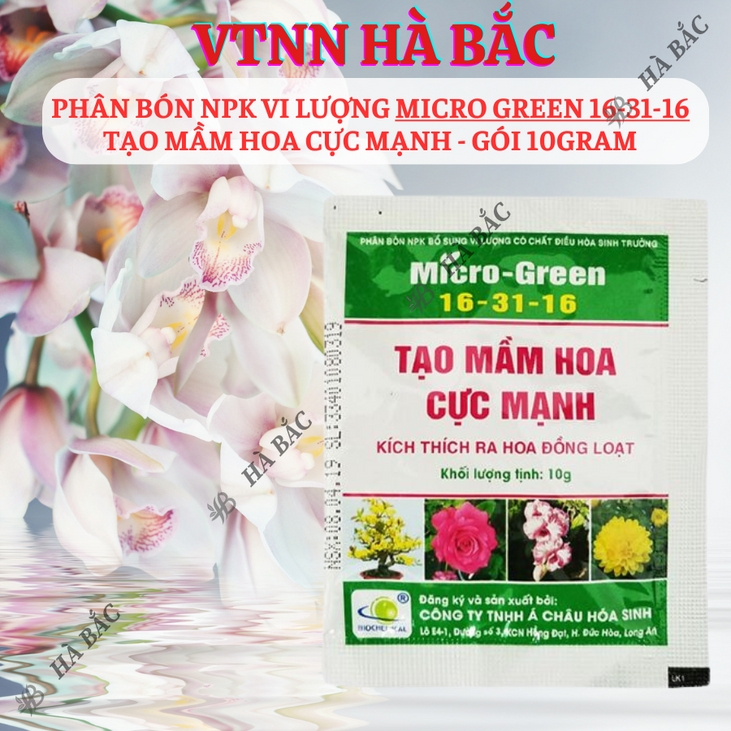 Phân Bón Lá NPK Micro-Green 16-31-16 (10gram), Bổ Sung Vi Lượng Và Chất Điều Hoà Sinh Trưởng, tạo mầm hoa cực mạnh