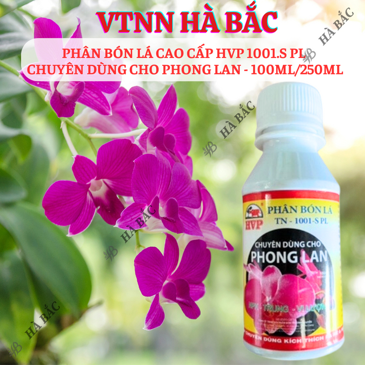 Phân Bón Lá Cao Cấp HVP 1001.S PL (Chai 100ml) Chuyên Dùng Cho Phong Lan, ra rễ mạnh, nẩy chồi lá xanh tốt