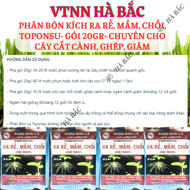 Phân bón kích ra mầm, chồi, rễ cực mạnh TOPONSU (gói 20gram) - chuyên cho cây cắt cành, ghép, giâm, kích ra rễ