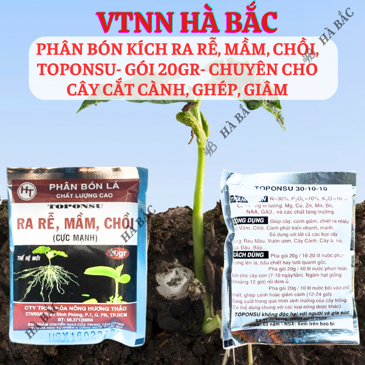 Phân bón kích ra mầm, chồi, rễ cực mạnh TOPONSU (gói 20gram) - chuyên cho cây cắt cành, ghép, giâm, kích ra rễ