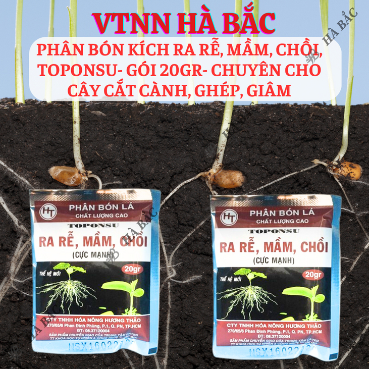 Phân bón kích ra mầm, chồi, rễ cực mạnh TOPONSU (gói 20gram) - chuyên cho cây cắt cành, ghép, giâm, kích ra rễ