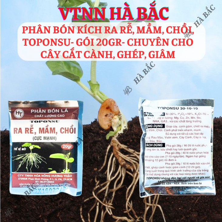 Phân bón kích ra mầm, chồi, rễ cực mạnh TOPONSU (gói 20gram) - chuyên cho cây cắt cành, ghép, giâm, kích ra rễ
