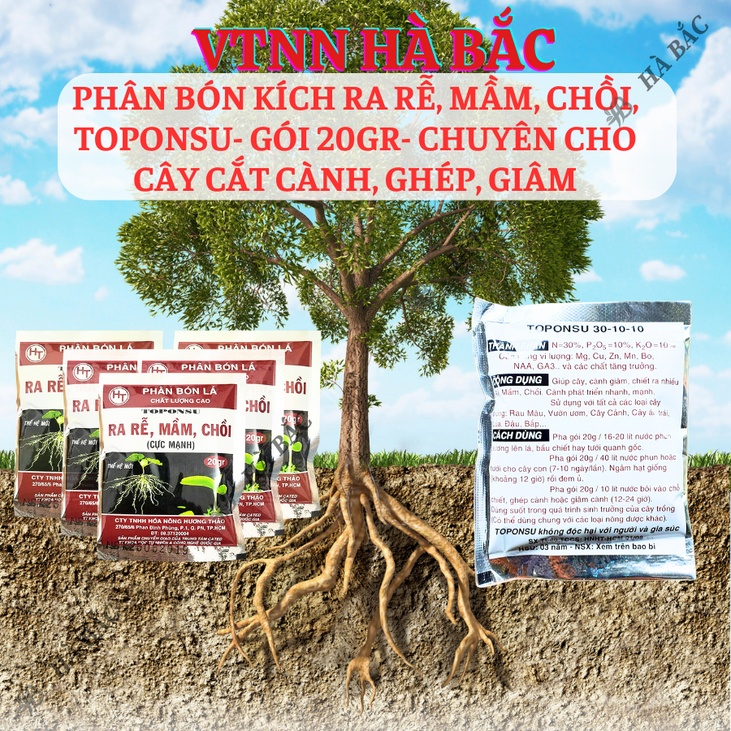 Phân bón kích ra mầm, chồi, rễ cực mạnh TOPONSU (gói 20gram) - chuyên cho cây cắt cành, ghép, giâm, kích ra rễ