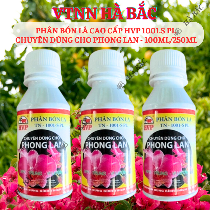 Phân Bón Lá Cao Cấp HVP 1001.S PL (Chai 100ml) Chuyên Dùng Cho Phong Lan, ra rễ mạnh, nẩy chồi lá xanh tốt