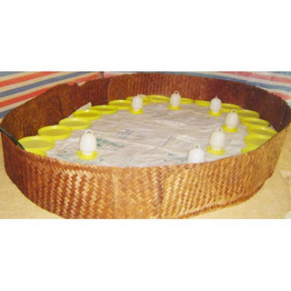 Máng Ăn Tròn Cho Gà Con Tập Ăn Úm, Mẹt Cho Gà, Ngan, Vịt