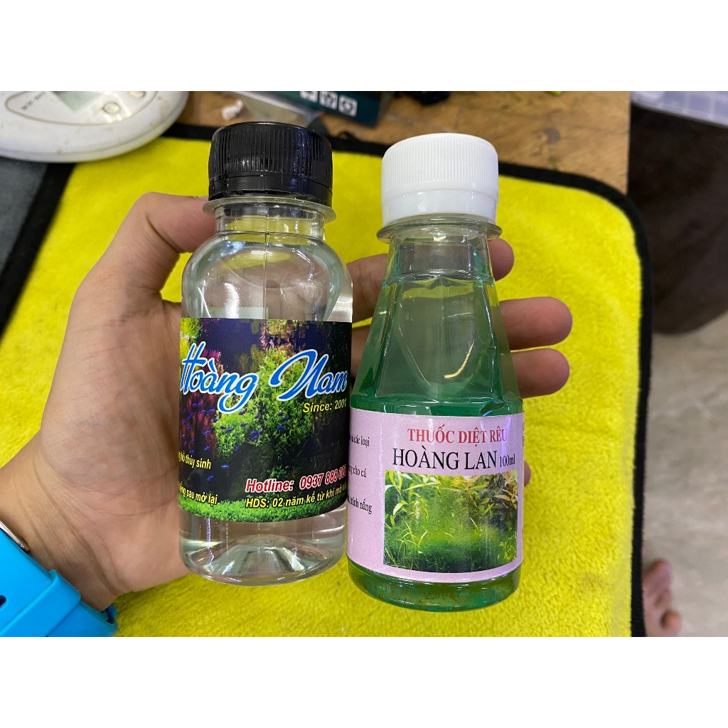 Diệt rêu bể cá Hoàng Nam | Diệt rêu bể cá Hoàng Lan cho bể cá, bể thủy ...