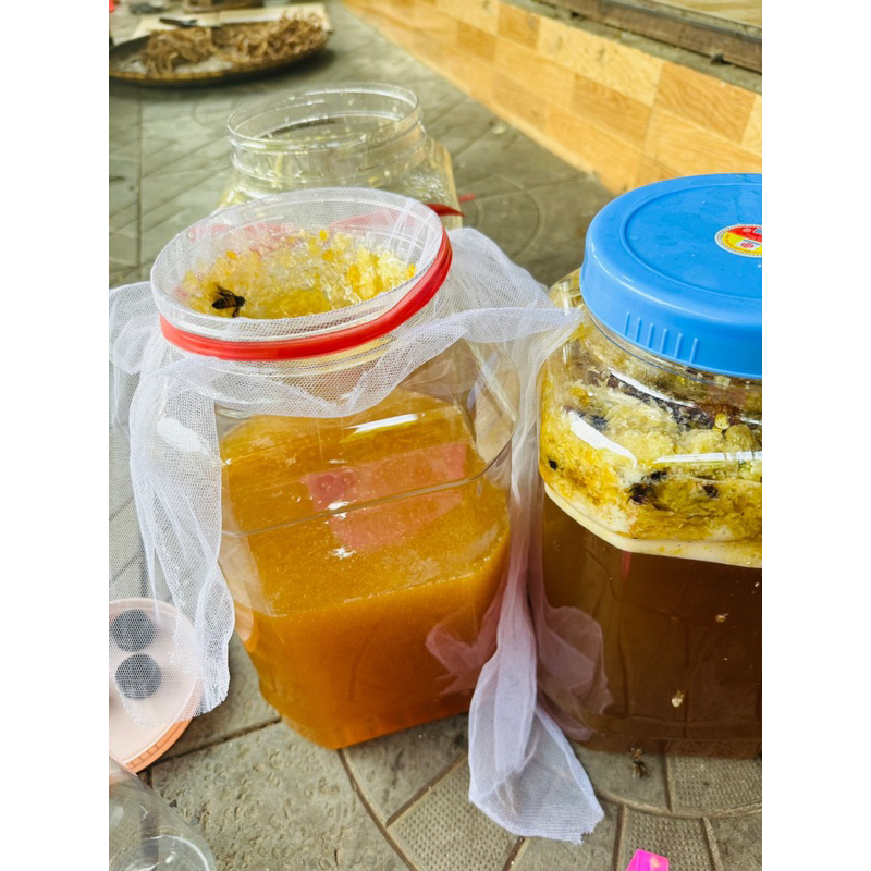 Mật Ong Khoái Rừng Nguyên Chất 100% | Mật Sánh Đặc Thơm Đậm Ngọt Thanh Tự Nhiên