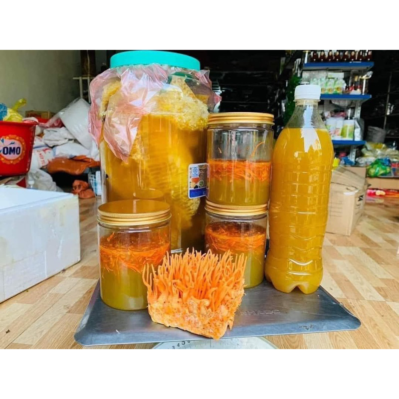 Mật Ong Khoái Rừng Nguyên Chất 100% | Mật Sánh Đặc Thơm Đậm Ngọt Thanh Tự Nhiên