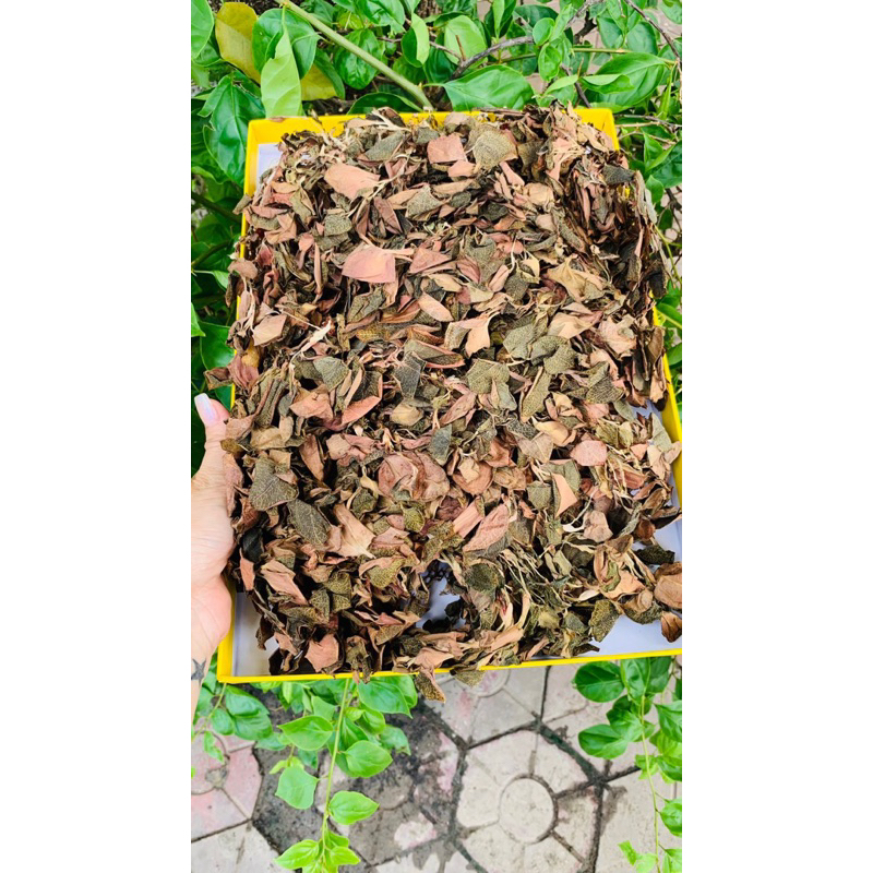 Lan Kim Tuyến Đỏ Khô Rừng Tự Nhiên Hàng Thượng Hạng Hỗ Trợ Tăng Cường Sức Đề Kháng 50gr-100gr