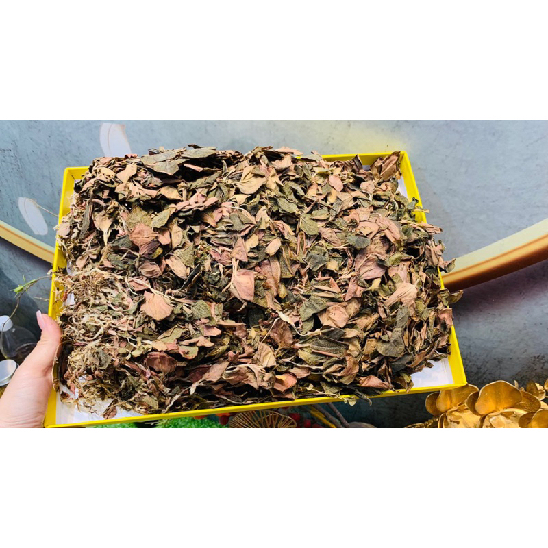 Lan Kim Tuyến Đỏ Khô Rừng Tự Nhiên Hàng Thượng Hạng Hỗ Trợ Tăng Cường Sức Đề Kháng 50gr-100gr