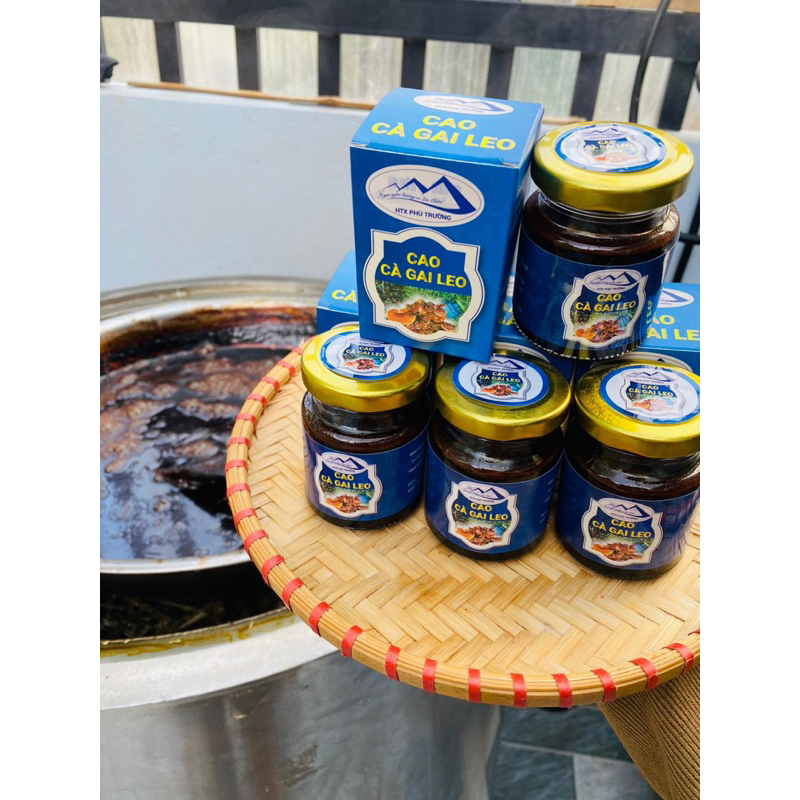 Cao Cà Gai Leo , Nấm Lim Xanh 100gr(Thơm,Dễ uống)