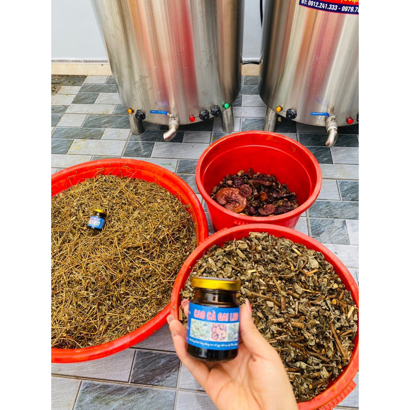 Cao Cà Gai Leo , Nấm Lim Xanh 100gr(Thơm,Dễ uống)