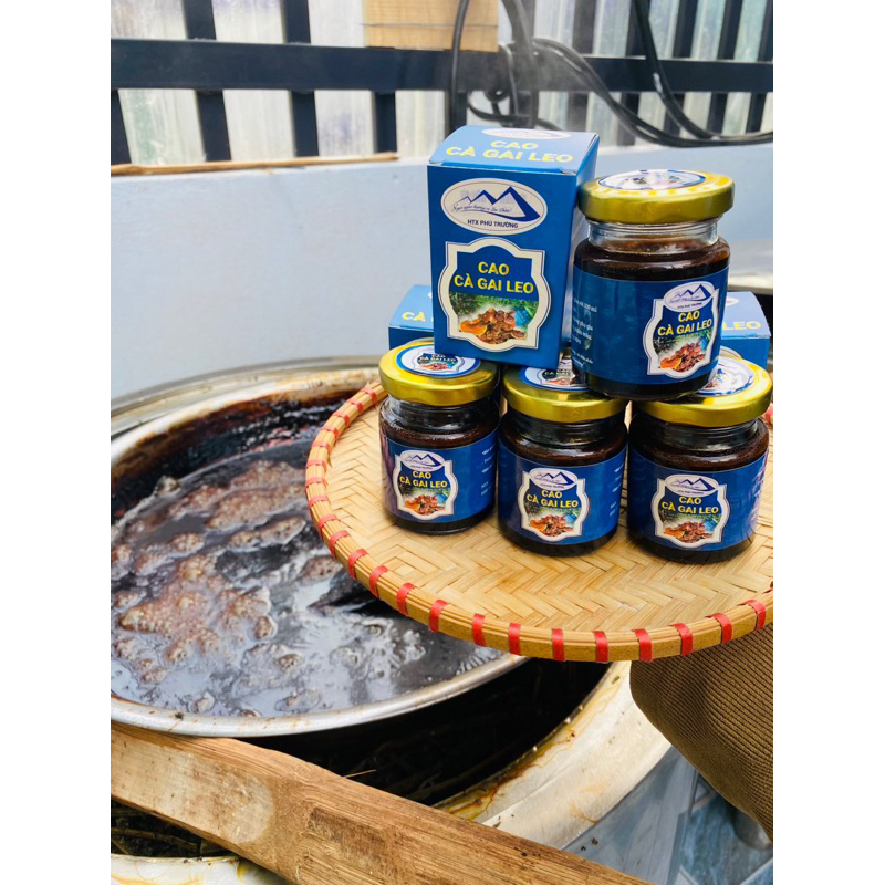 Cao Cà Gai Leo , Nấm Lim Xanh 100gr(Thơm,Dễ uống)