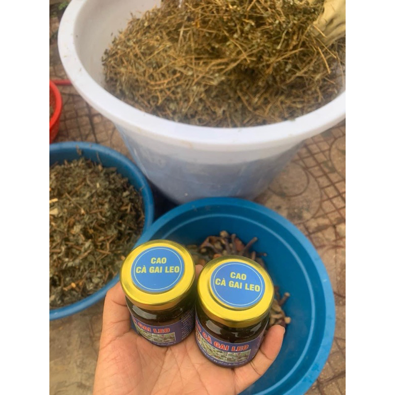 Cao Cà Gai Leo , Nấm Lim Xanh 100gr(Thơm,Dễ uống)