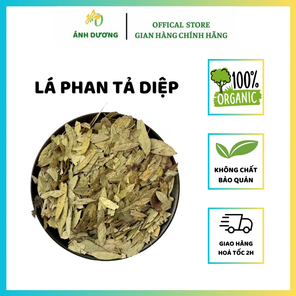 Lá Phan Tả Diệp Khô Giúp Giảm Cân Giữ Dáng, Hỗ Trợ Cải Thiện Táo Bón, Tốt Cho Gan