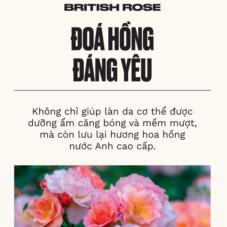 Ảnh Sữa Tắm Hương Hoa Hồng British Rose Shower Gel The Body Shop 3