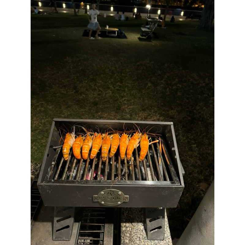 Lò nướng than hoa Eco Grill