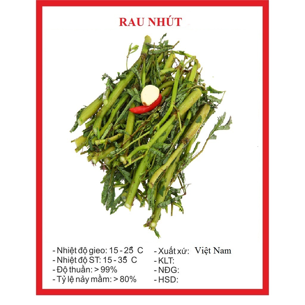 Hạt Giống Rau Nhút, Rau Rút Dút dể trồng- gói 50 hạt(tặng kèm phân ...