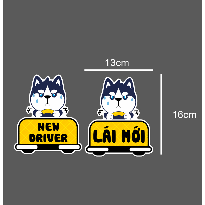 Tem xe lái mới, dán các màu xe, nhãn dán, sticker | Shopee Việt Nam