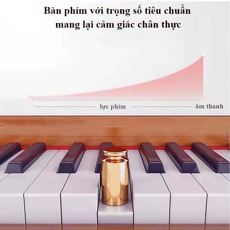 Đàn Piano Điện Bằng Gỗ Woim 88 Phím W-3101 Kèm Pedal,Bluetooth Midi Kết Nối App Bản Mỹ Phím Nặng Loa Dual Speaker Stereo