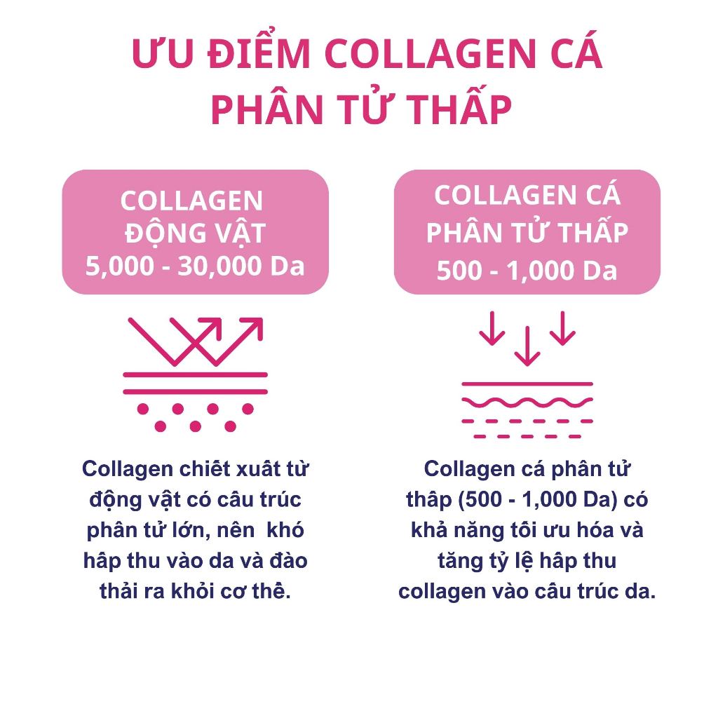 Ảnh Bột Uống Collagen BB LAB Low Molecular Collagen Chậm Lão Hóa Da, Sáng Da Căng Bóng, Giảm Nếp Nhăn, Mờ Nám 30 Gói/Hộp 4