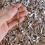 Kẹp Mỏ Vịt Kẹp Sóng Ngắn 4,5 cm TH BEAUTY cometics