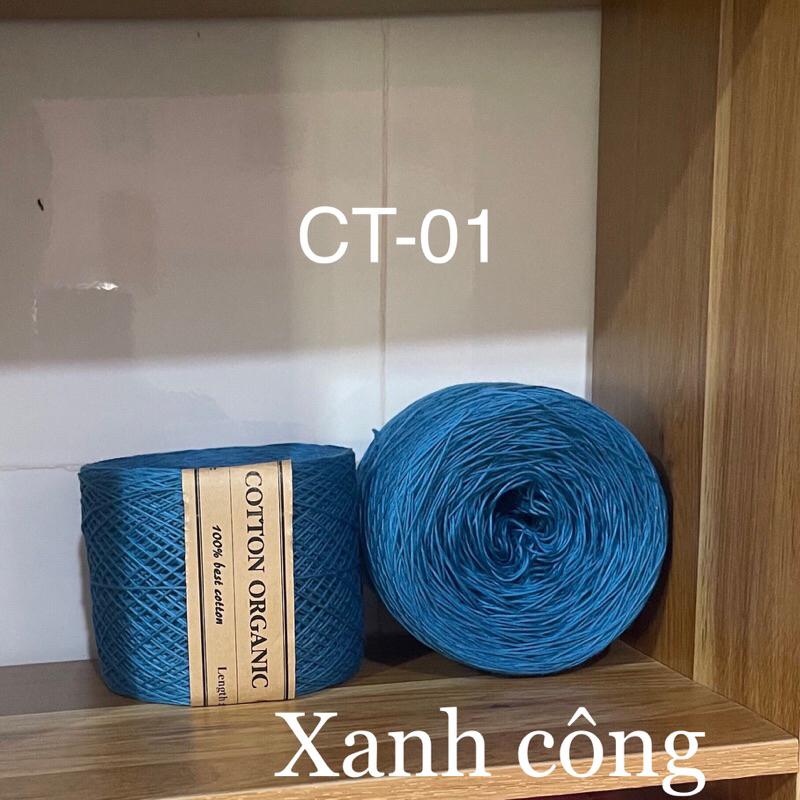 CT01