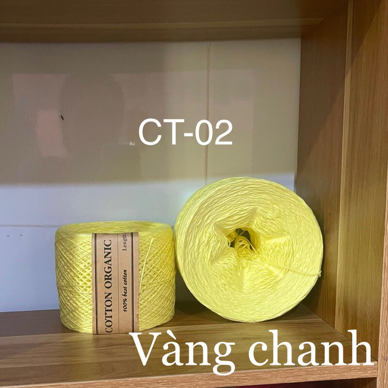 CT02