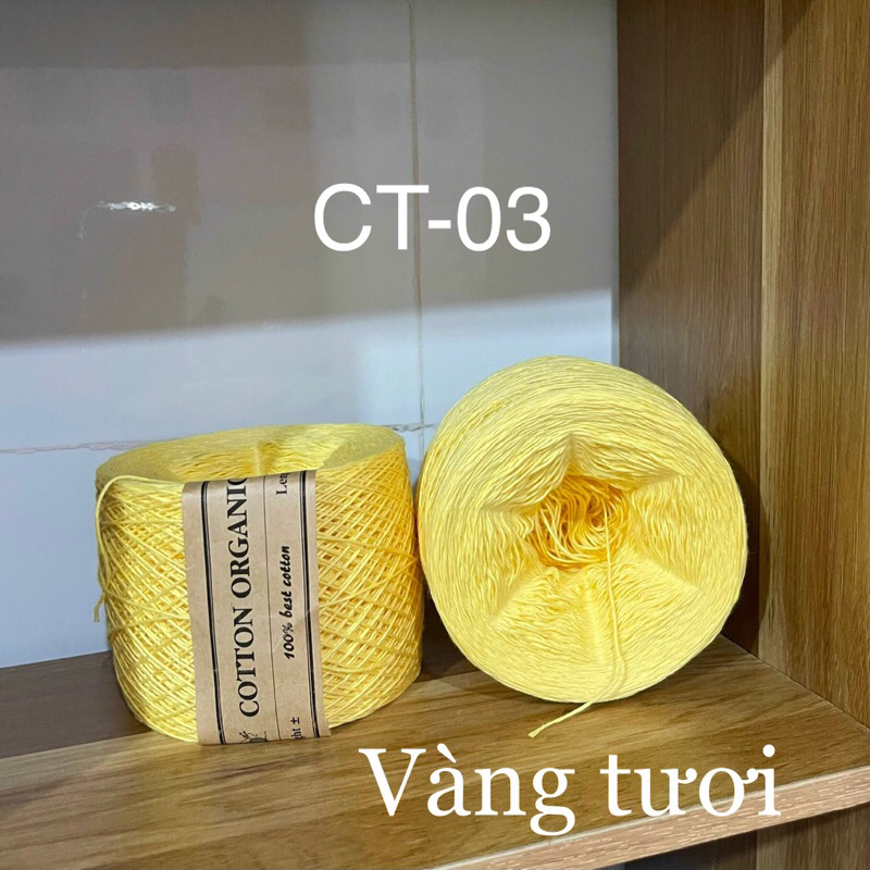 CT03