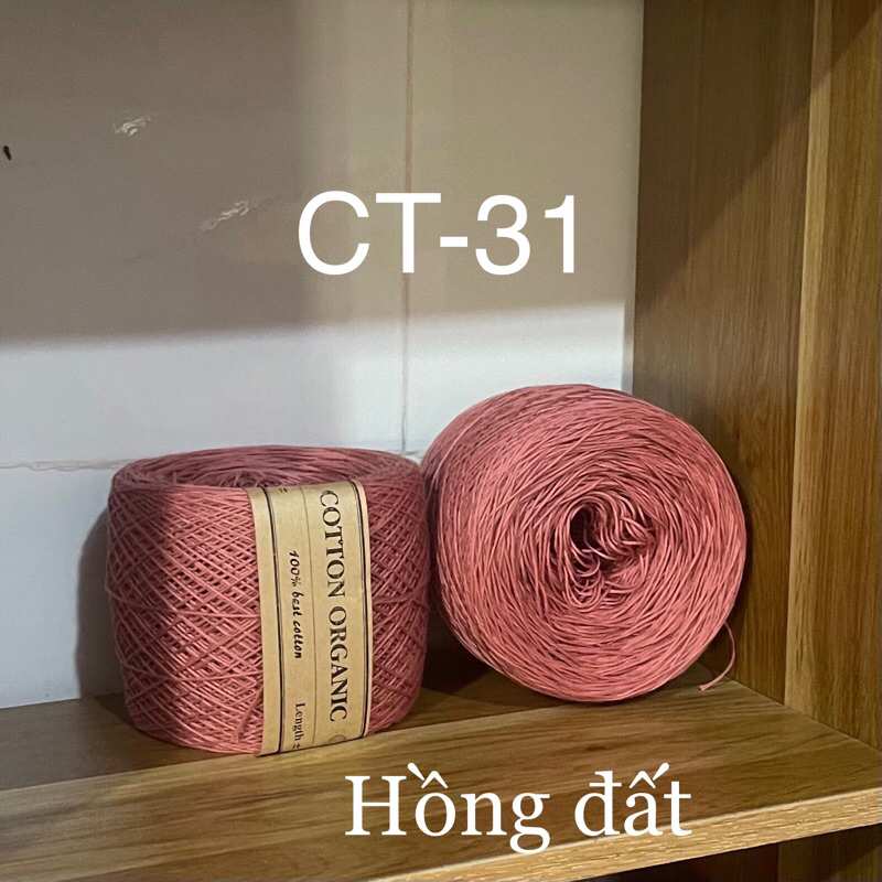 CT31