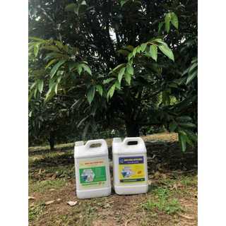 Cặp can 5L nano bạc đồng và nano đồng oxyclorua hlc phòng ngừa nấm khuẩn