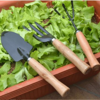Dụng Cụ Làm Vườn Mini Các Loại