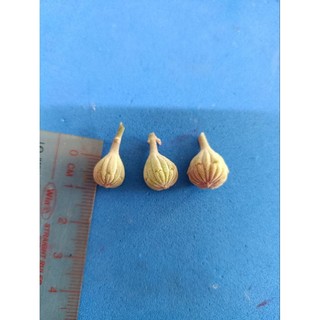 Khuôn silicon nụ hoa bằng lăng (3 size)