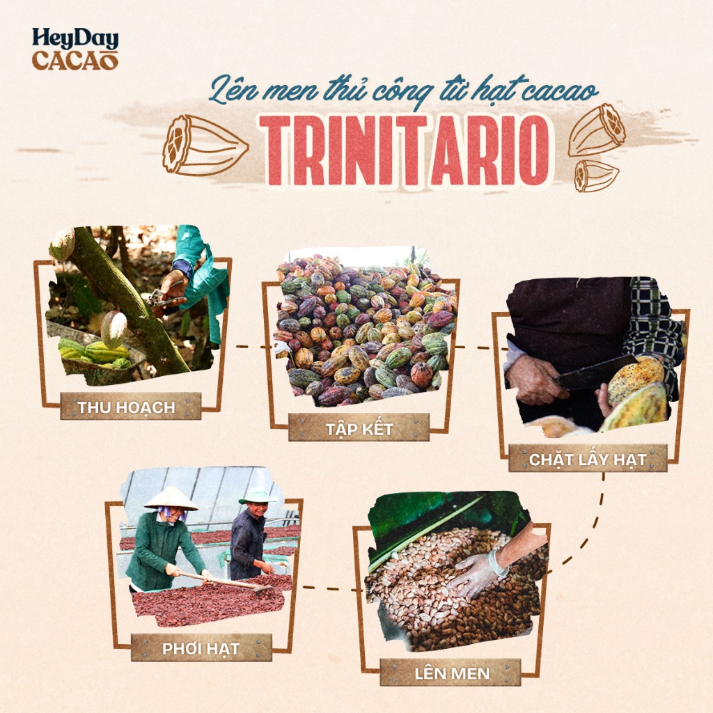 Ảnh Túi 50g Bột cacao nguyên chất Việt Nam 100% Heyday - Dòng Balanced phổ thông - Mẫu 2024 4