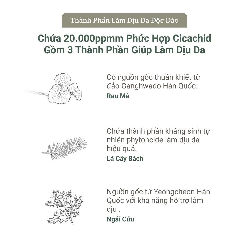 Ảnh Toner Pad Needly Cicachid Chilling Cấp Ẩm Làm Dịu Phục Hồi 200G 70 Miếng 3