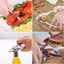 CÀNG GHẸ INOX, DỤNG CỤ BÓC HẢI SẢN ĐA NĂNG, Chắc Chắn Bền Bỉ, Hỗ Trợ Tách Vỏ Dễ Dàng, Tiện Lợi Nhà Bếp