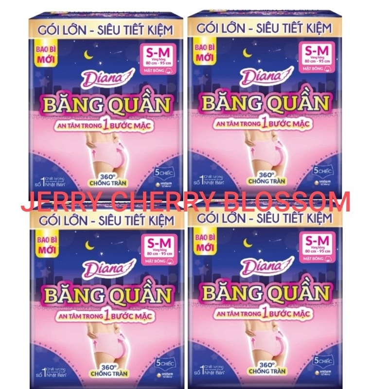Combo 24 gói băng vệ sinh dạng quần size SM 5 chiếc/gói