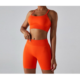 Áo Thể Thao Tập Gym, Yoga Nữ Chéo Lưng Chất Dệt Kim Cao Cấp (ao070)