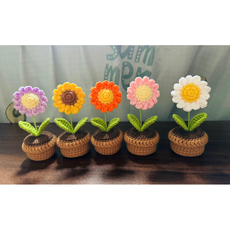 Chậu hoa cúc mini bằng len móc tay nhiều mẫu (có sẵn, ảnh thật ...