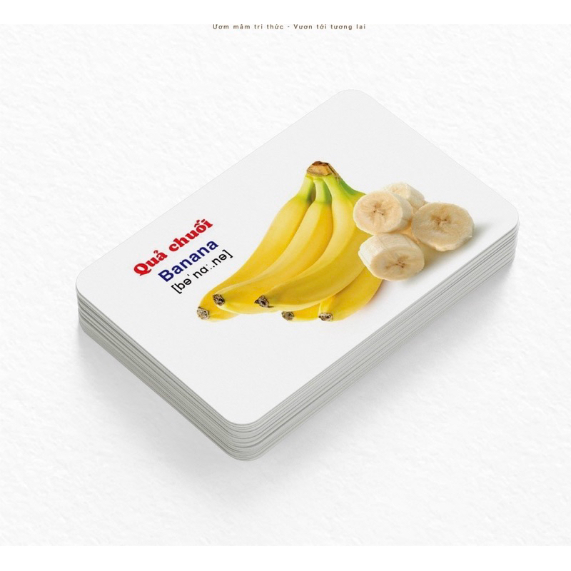 (GIÁ XẢ LỖ) Bộ Thẻ học Flashcard - Bộ Thẻ Học Thông Minh (416 Thẻ Flashcards Tiếng Anh 16 Chủ Đề)