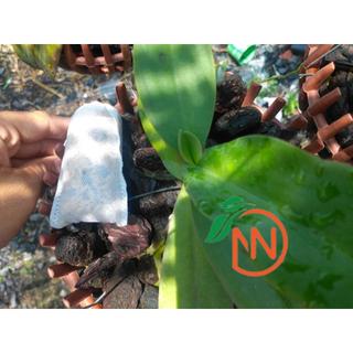 Combo 10 Túi Phân Tan Chậm Cho Lan