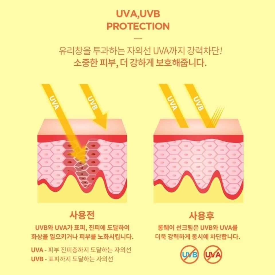 Kem chống nắng Verobene UV Shield Longwear Sun Cream 40ml và Kem chống nắng Hàn Quốc Verobene Aqua Sun Cream 70ml